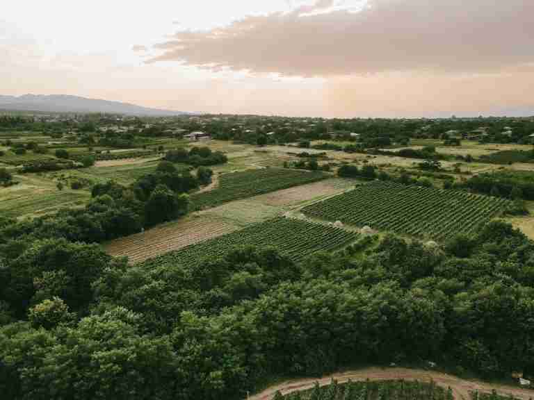 Aerial view of a field in the countryside