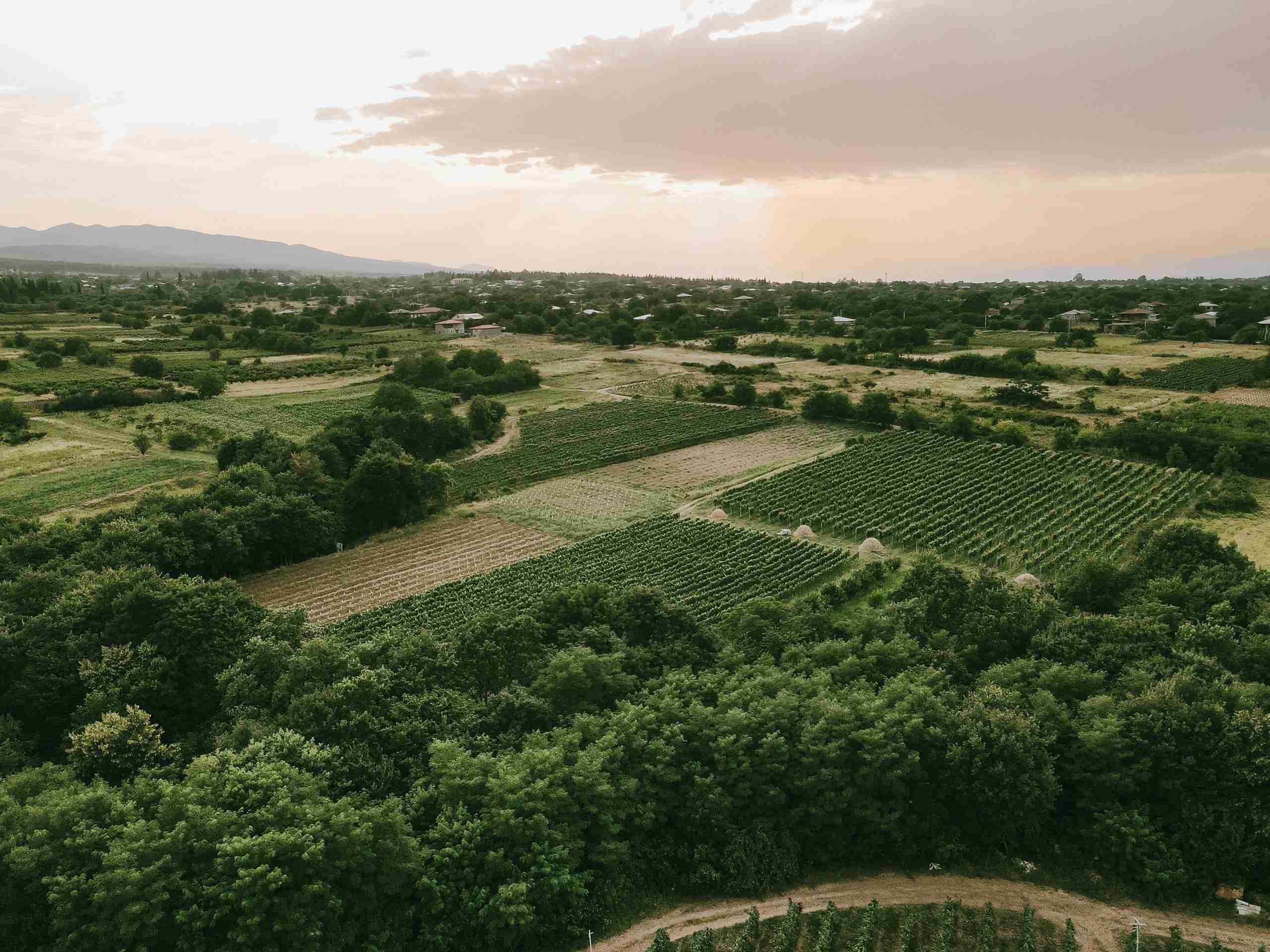 Aerial view of a field in the countryside