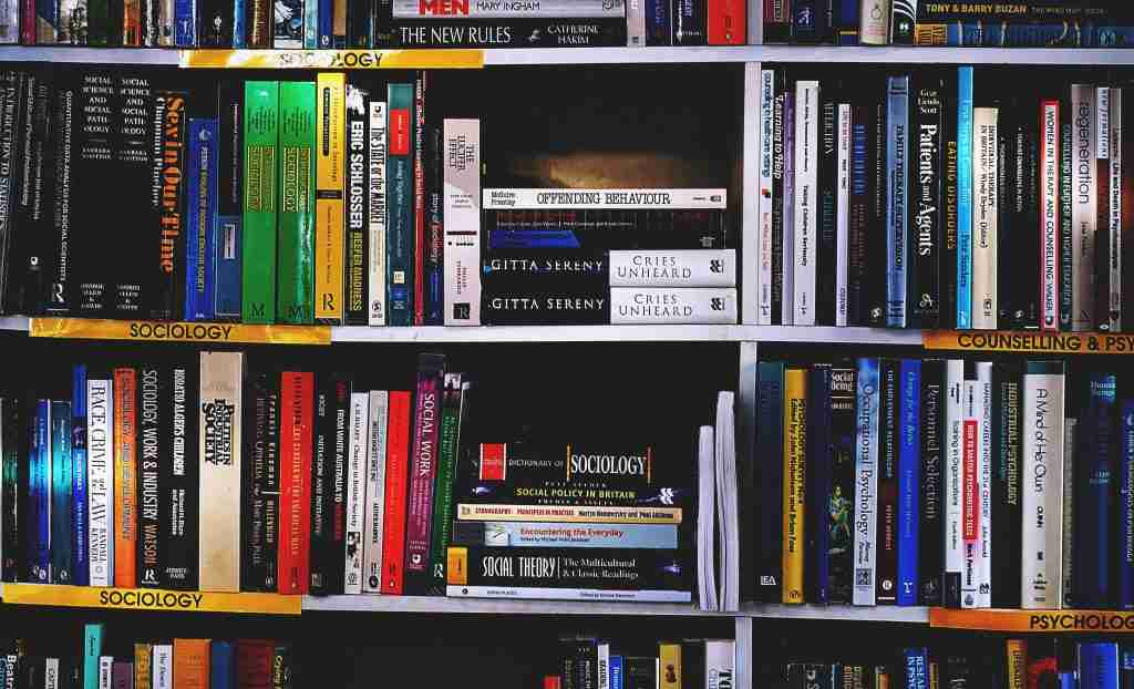 Полки, заполненные книгами