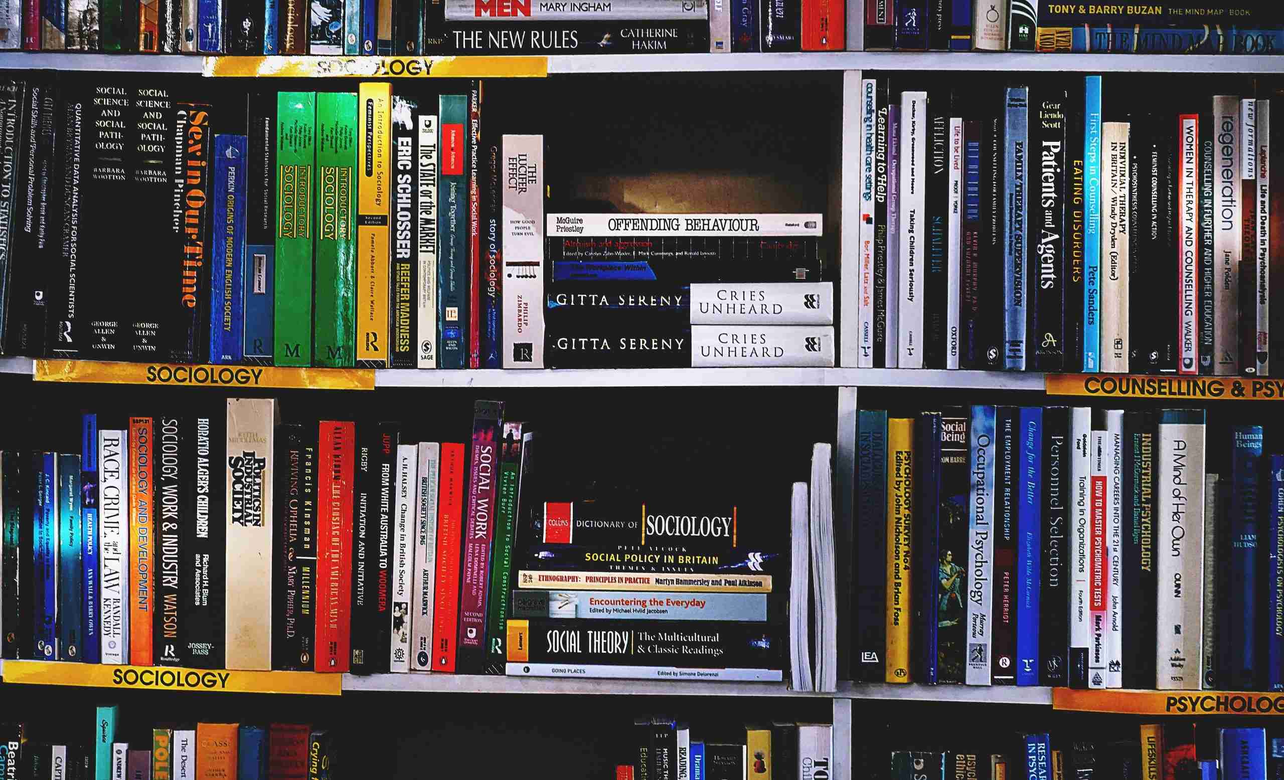 Полки, заполненные книгами
